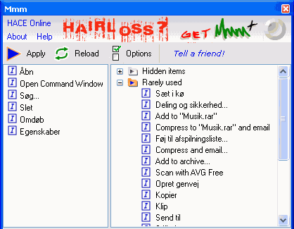 Programvinduet