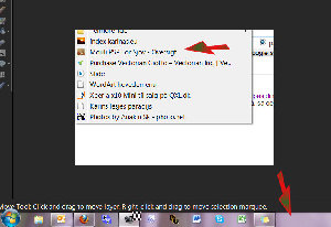 firefox.jpg