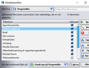 Bodil_5.jpg