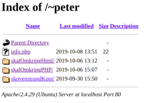 index_of_peter.png
